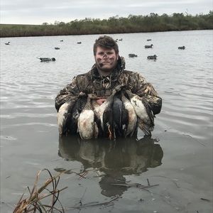 Meet your Posher, Tyler